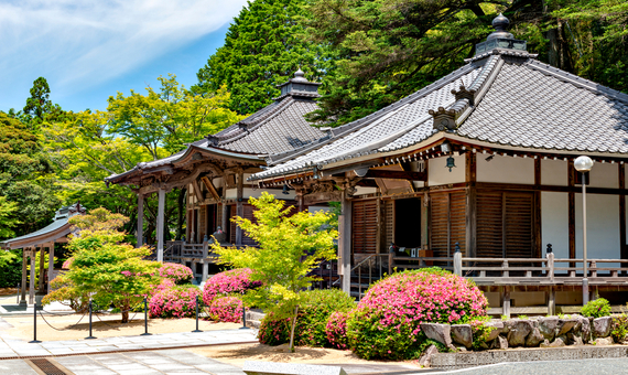 番外 菩提寺・花山院